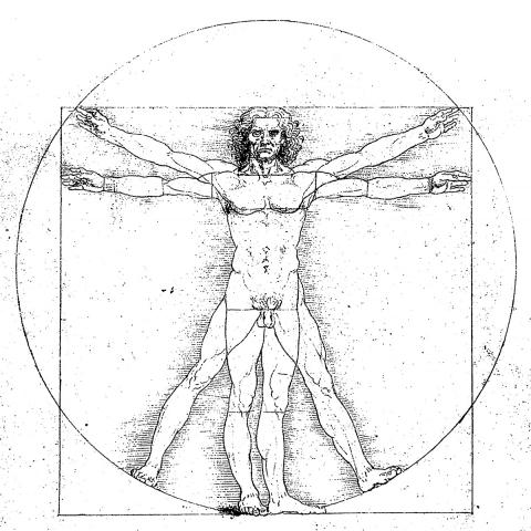 Davinci Vitruvian