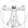 Davinci Vitruvian